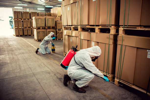 Best Ant Control Services  in Kaunakakai, HI
