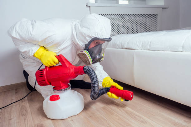 Pest Control for Restaurants in Kaunakakai, HI