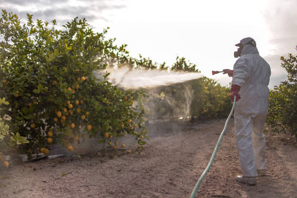 Best Best Pest Control Companies  in Kaunakakai, HI